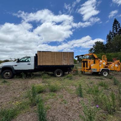 CHIPPING SERVICES